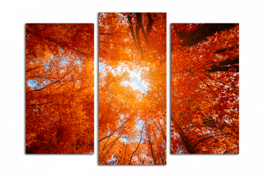 Модульная картина Осеннее небо